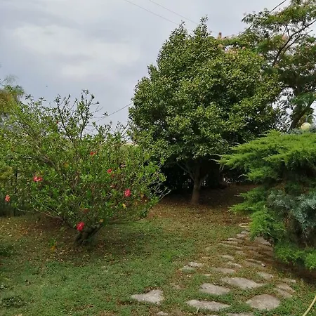 Agugliastra * 洛特佐莱