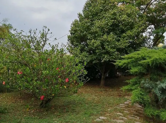 Agugliastra * 洛特佐莱